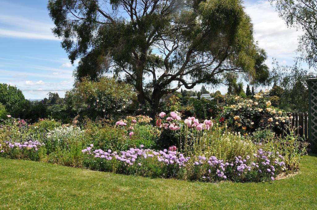 Harbinger House Bed & Breakfast Tauranga Exterior foto