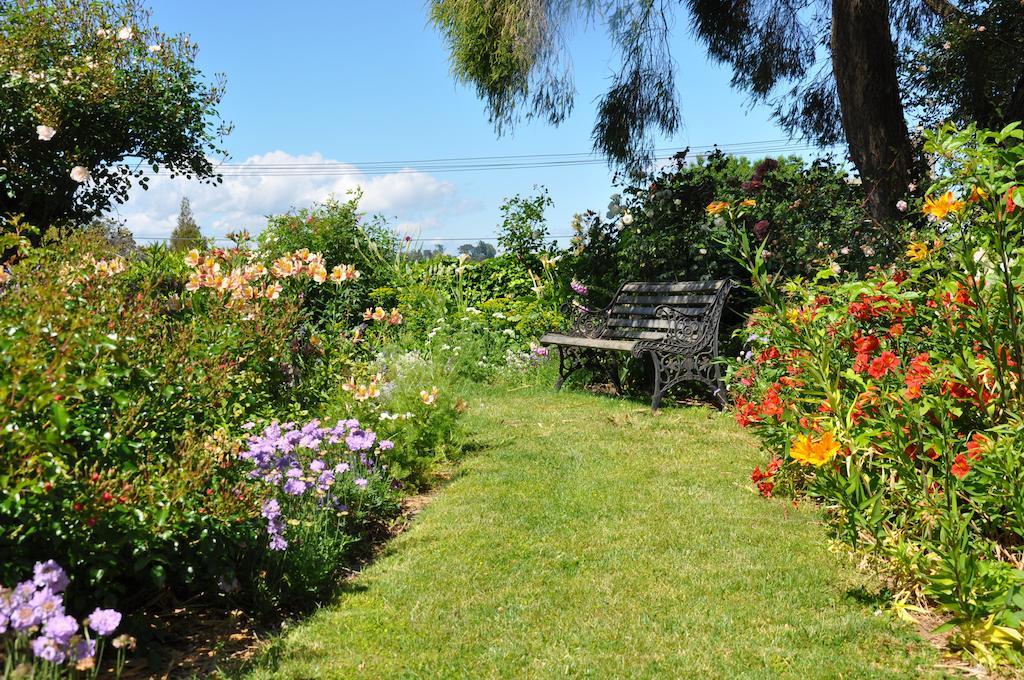 Harbinger House Bed & Breakfast Tauranga Exterior foto