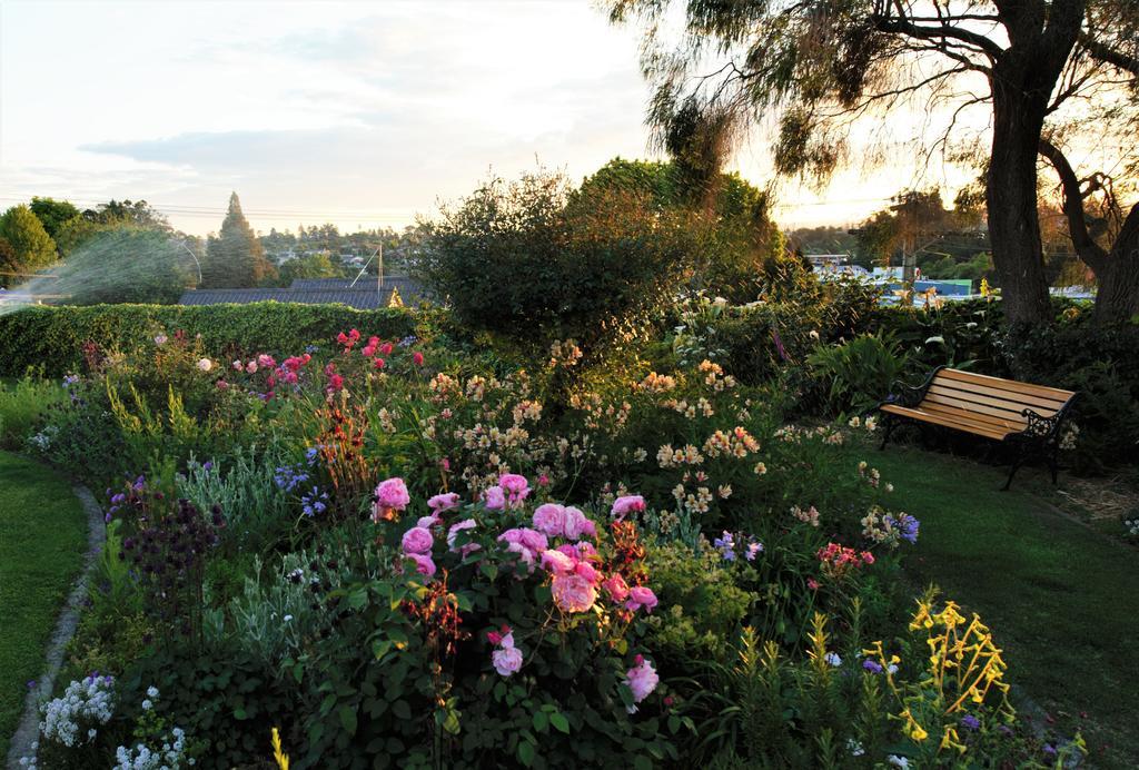 Harbinger House Bed & Breakfast Tauranga Exterior foto